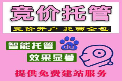 百度推广的秘诀：以某电商平台的成功经验为例